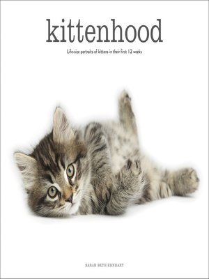 cover image of Kittenhood